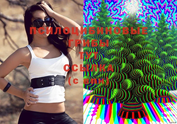 соль курить ск Горнозаводск