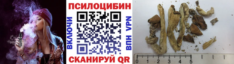 магазин продажи наркотиков  Ивдель  Галлюциногенные грибы GOLDEN TEACHER 