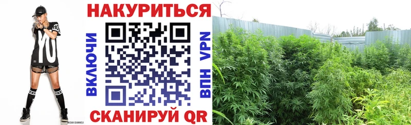 МАРИХУАНА тримм  где найти наркотики  Ивдель 